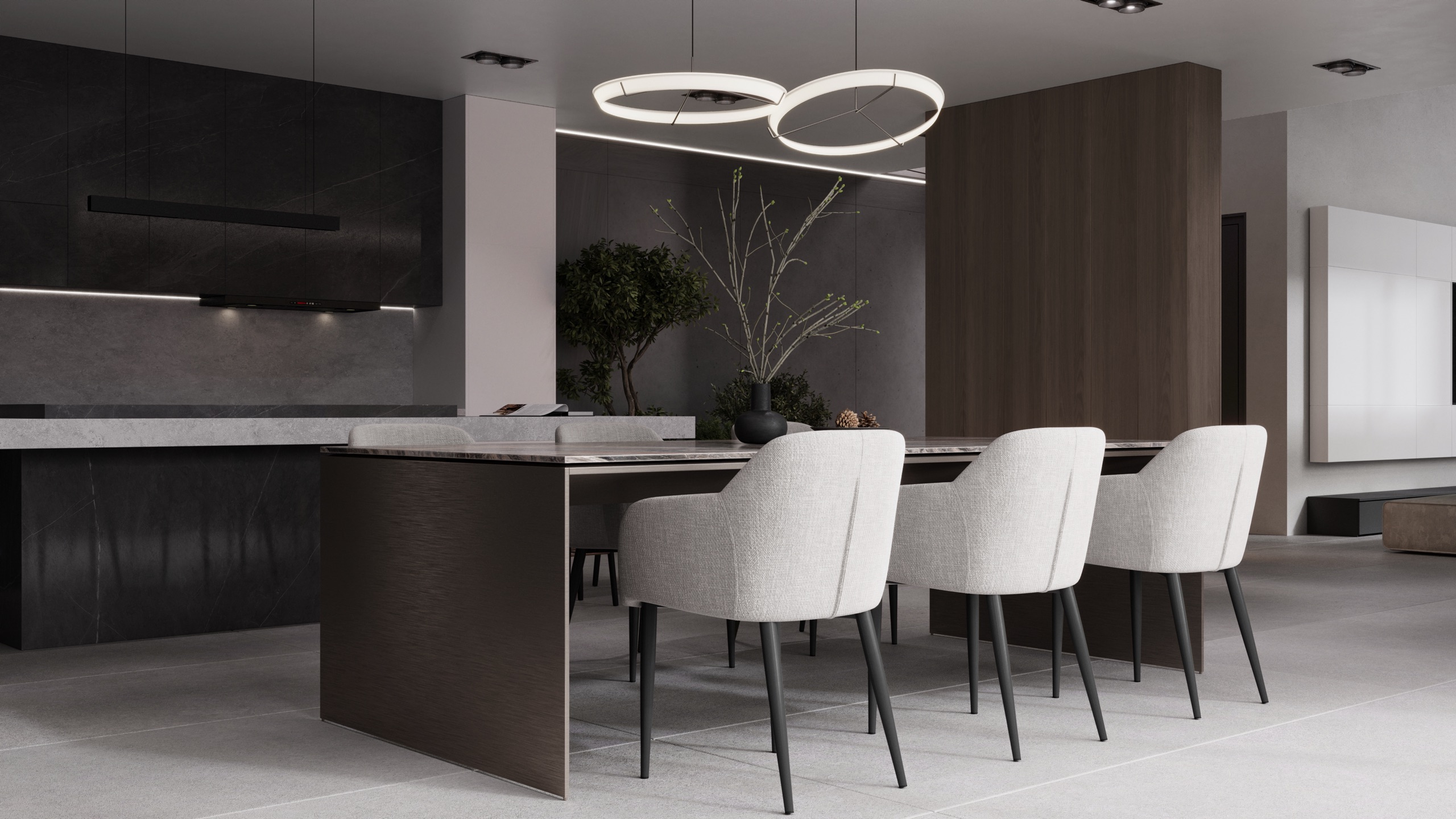 Commercial Interior Design Rendering Florida Beauty Clinic Spa — view 2